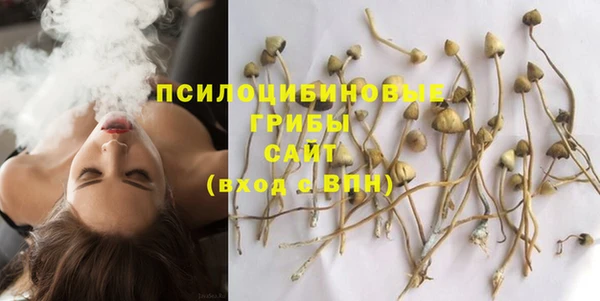 бутират Ладушкин