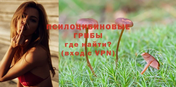 бутират Ладушкин